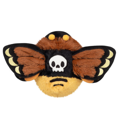 Snacker Death's-head Hawk Moth