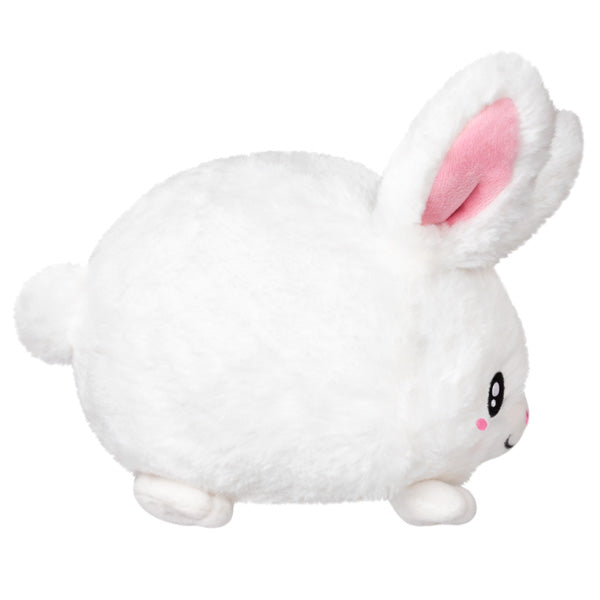 Fluffy Bunny Snack