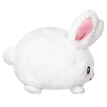 Fluffy Bunny Snack