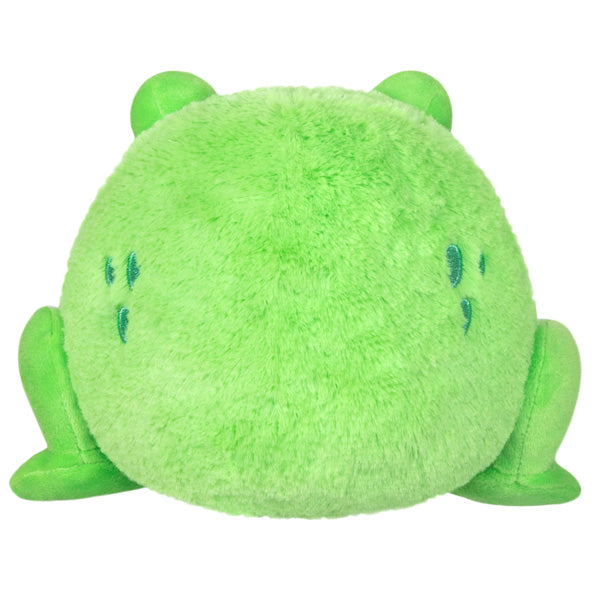 Peluche Snacker Squishable – Grenouille