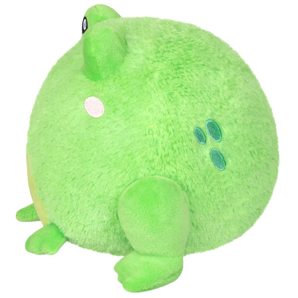 Peluche Snacker Squishable – Grenouille
