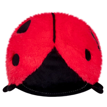Snack Ladybug
