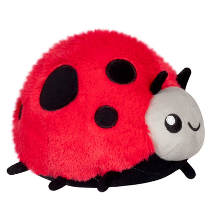 Snack Ladybug