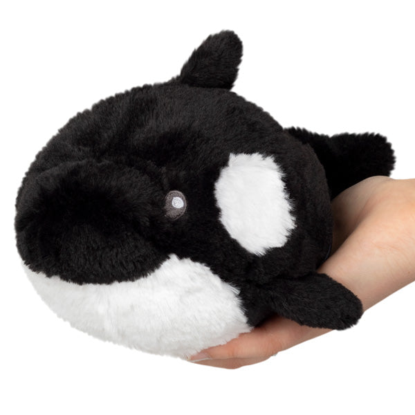 Peluche Snacker Squishable – Orque