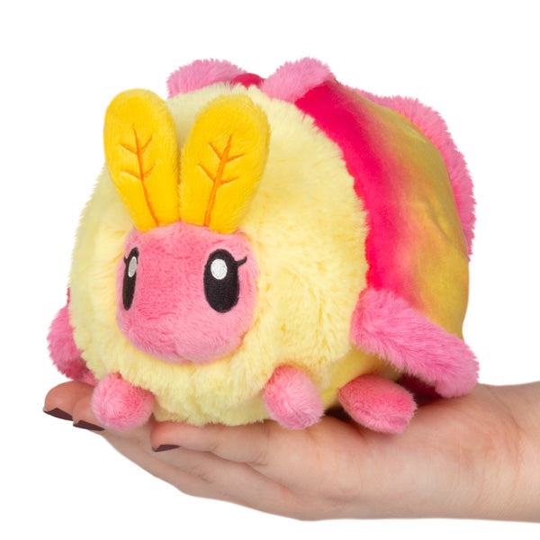 Rosy Maple Moth Snacker
