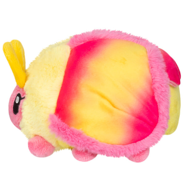 Rosy Maple Moth Snacker
