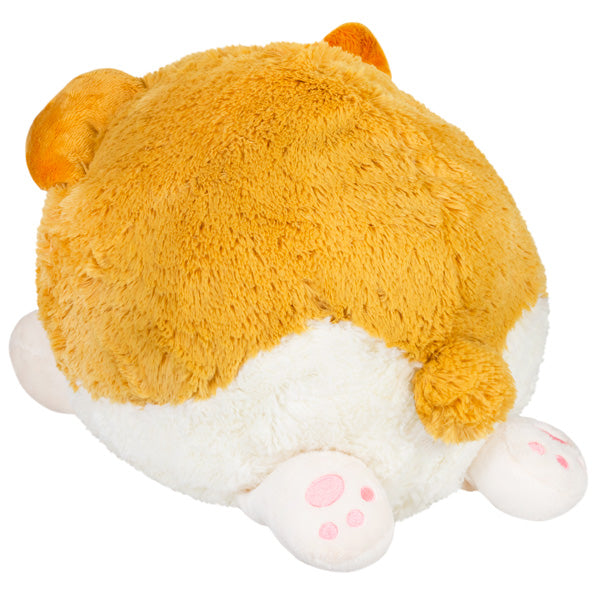 Peluche Squishable – Bébé Corgi