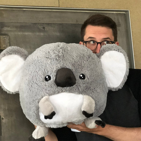 Peluche Squishable – Bébé Koala