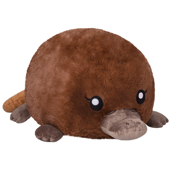 Peluche Squishable – Bébé Ornithorynque