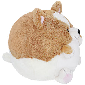 Peluche Squishable – Corgi