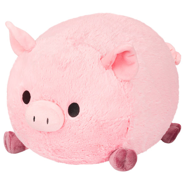Squishy Piggy