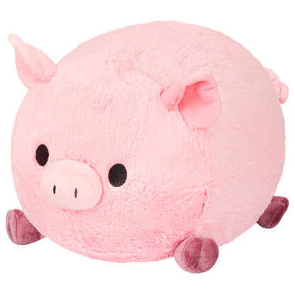 Squishy Piggy
