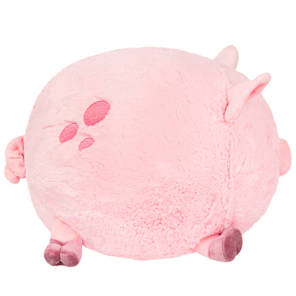 Squishy Piggy