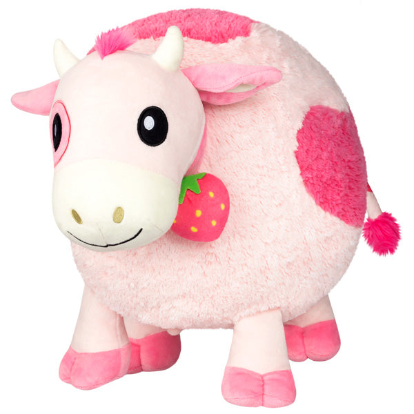 Mucca
