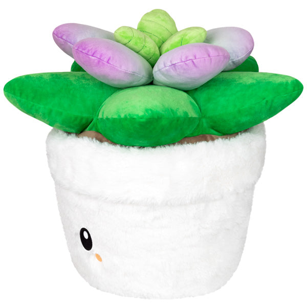 Peluche Squishable – Succulente