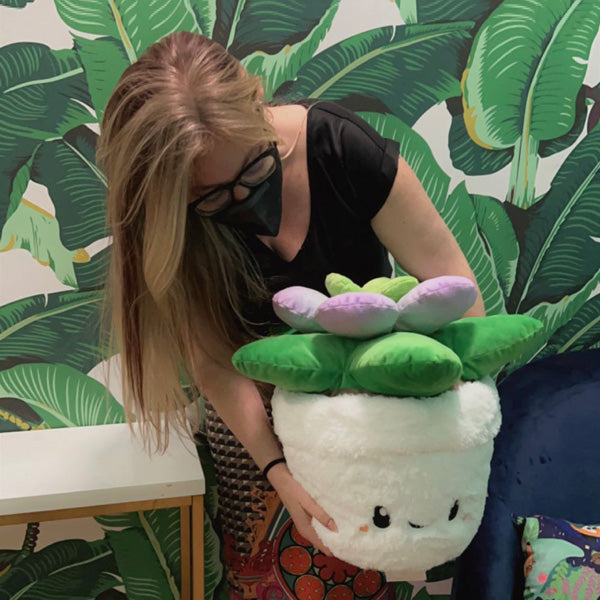 Peluche Squishable – Succulente