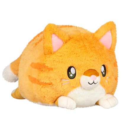 Peluche Squishable – Chat