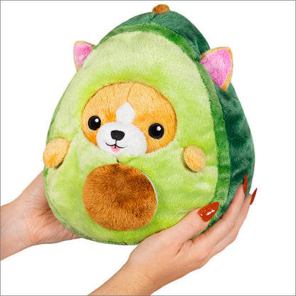 Corgi Undercover in Avocado