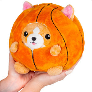 Corgi Infiltré au Basket