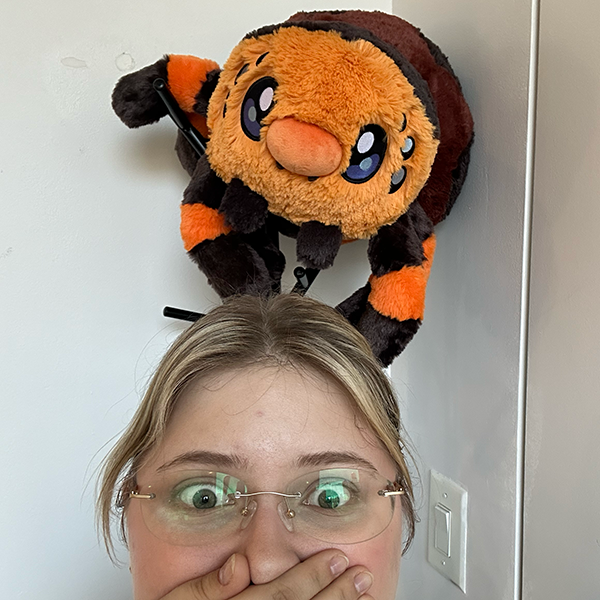 Peluche Squishable – Tarentule