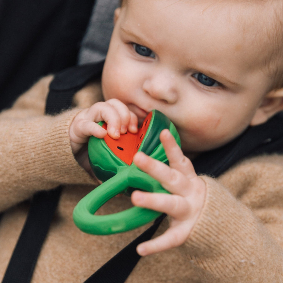 Watermelon Baby Rattle