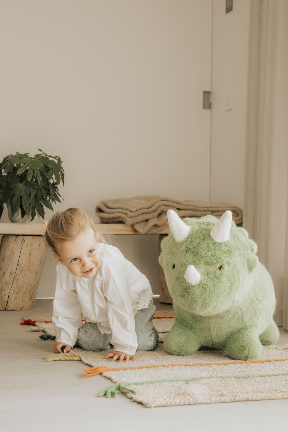 Soft & Bouncy Dinosaur Wild & Soft