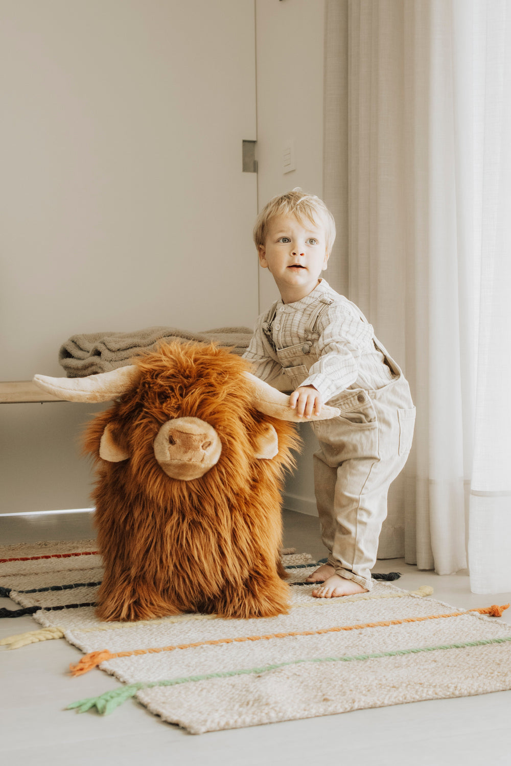Wild & Soft Bouncy Highland Cow