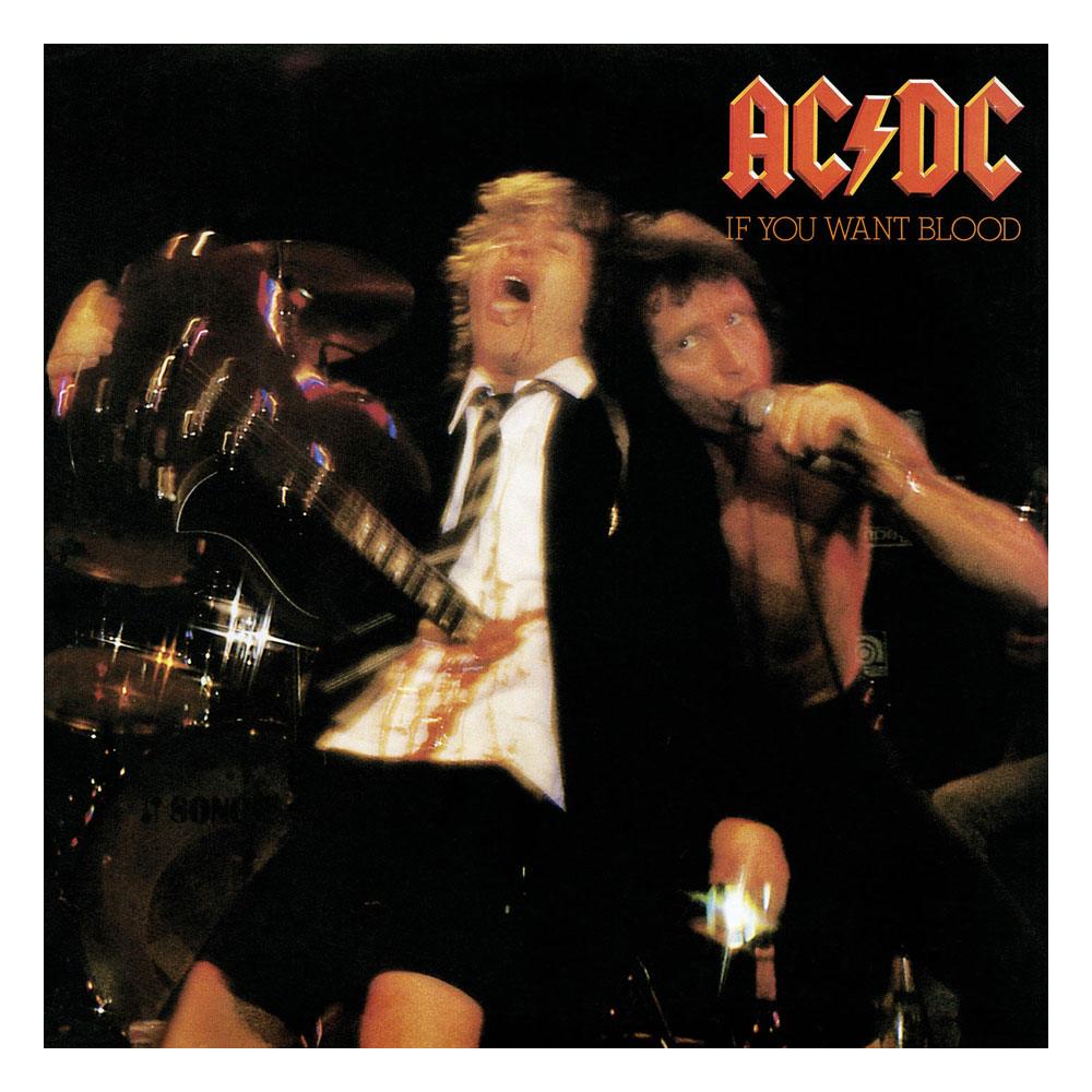 AC/DC Puzzle - If You Want Blood