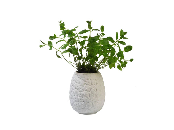 Pot de fleur Ananas Bitten – Cache-pot original