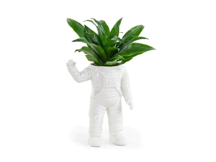 Astronaut flower pot