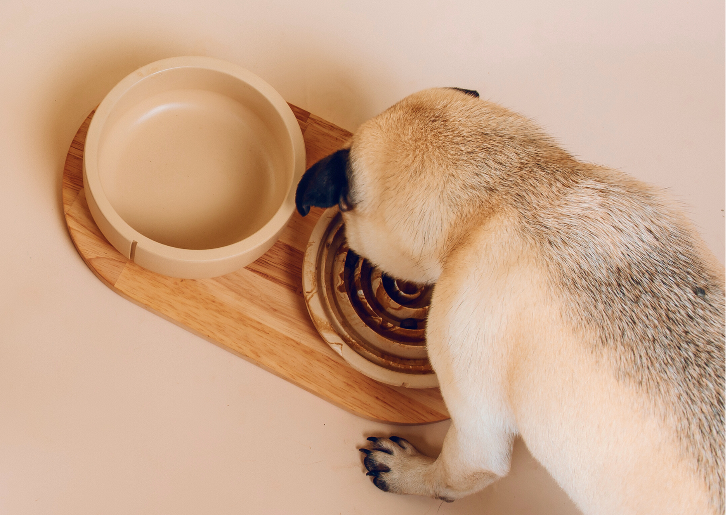 Pet bowl - M 