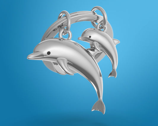 Dolphins key ring