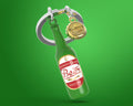 Schlüsselanhänger Bouteille de Bière Verte
