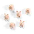 Schweinchen-Magnete