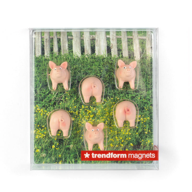 Pig Magnets