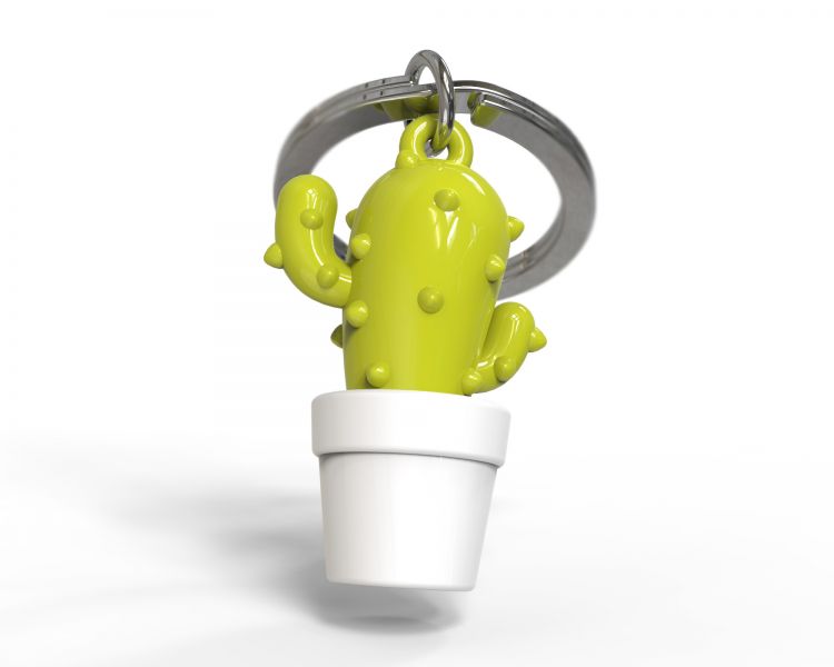 Porte clés Cactus Vert