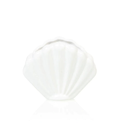 White shellfish flower pot