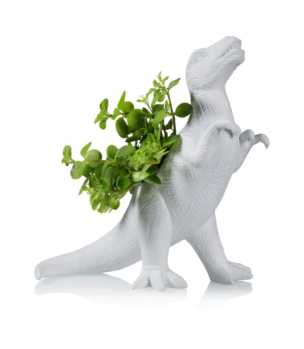 Pot de fleur Dinosaure Plantosaurus Rex Bitten – Cache-pot original
