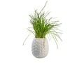 Vaso da Fiori Ananas