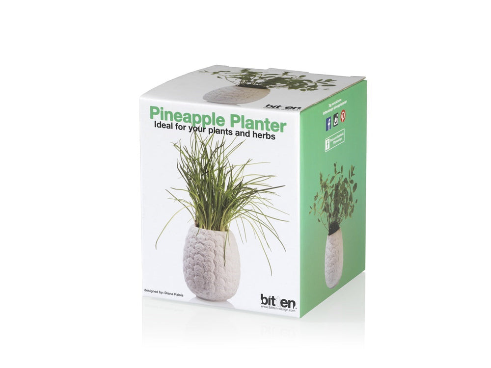 Vaso da Fiori Ananas