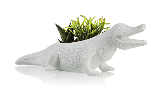 Flowerpot Crocodile