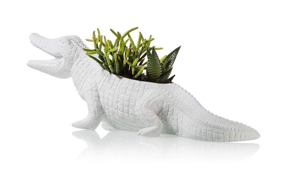 Flowerpot Crocodile