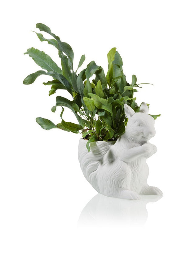 Pot de fleur Ecureuil Bitten – Cache-pot original