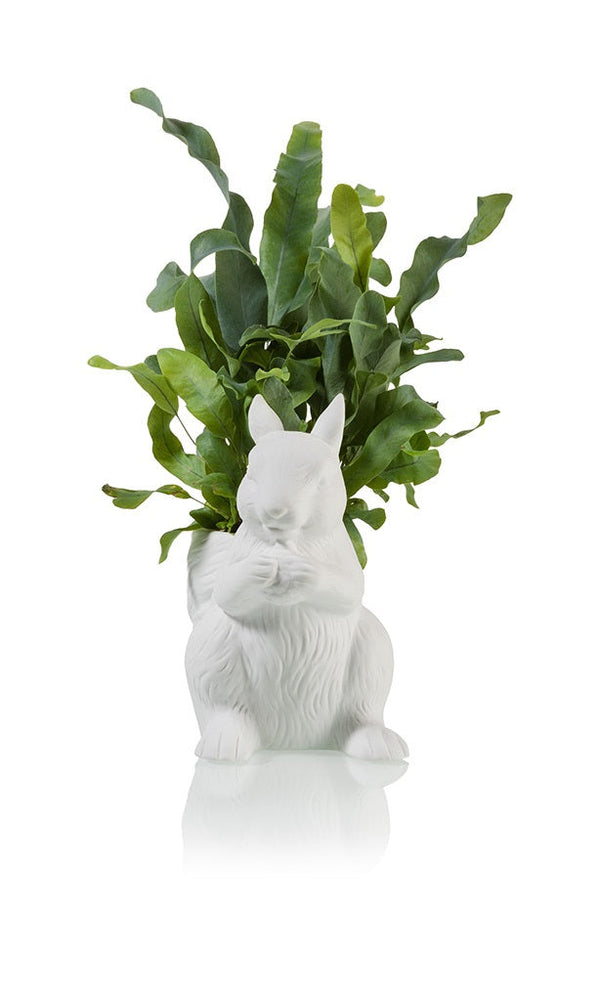 Pot de fleur Ecureuil Bitten – Cache-pot original